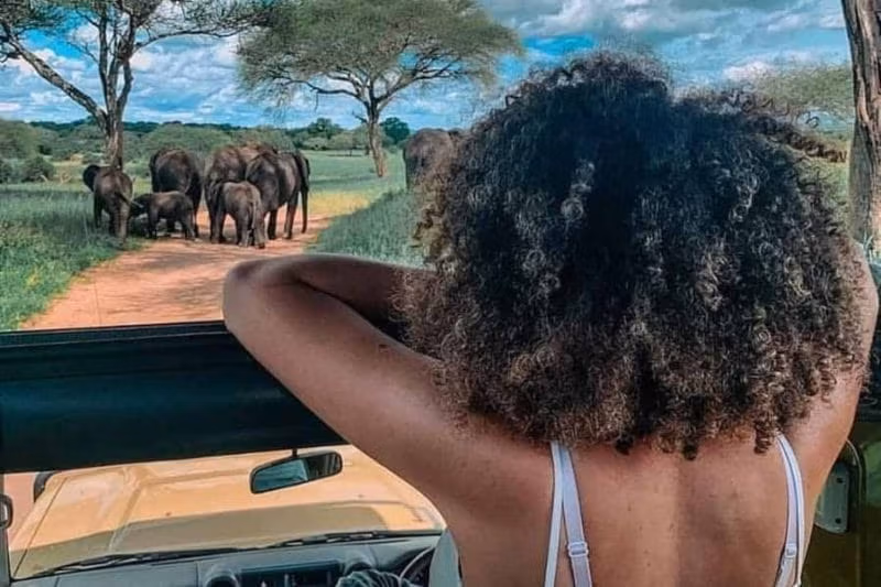 Сафари Джамбо: Тарангире, Нгоронгоро и племя Масаи (2 дня)