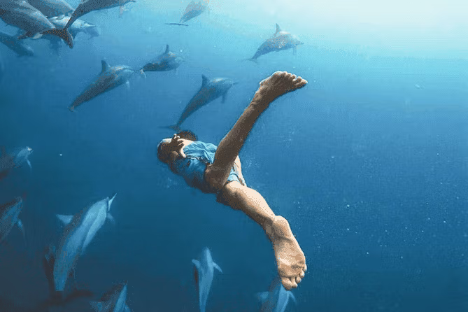 Дельфин тур на Мнемба