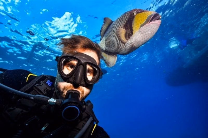 Дайвинг с берега + индивидуальный трансфер (утро)