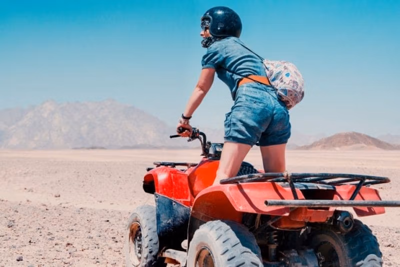 Сафари утром