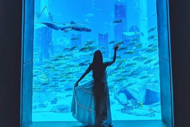Аквапарк Atlantis Aquaventure и аквариум Lost Chambers — изображение 12