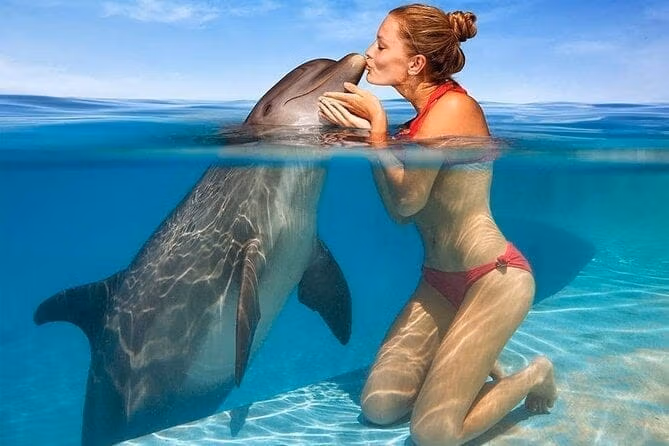 Плавание с дельфинами
