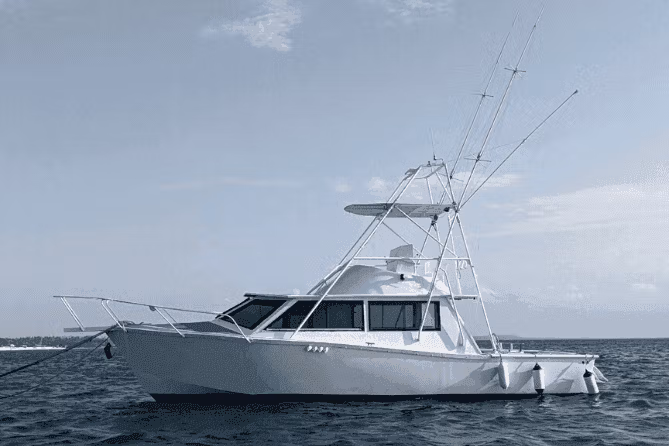 Индивидуальная рыбалка на яхте Baloo - obrazek 3