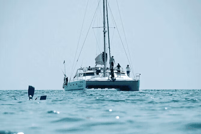 Indywidualne połowy na katamaranie Pelagic