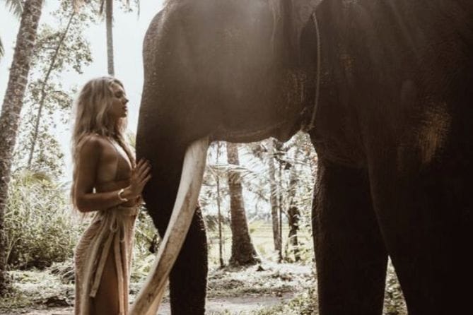 Элла + Слоновий питомник Удавалава (1 день)