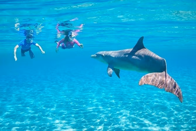 Яхта Nazim — изображение 2