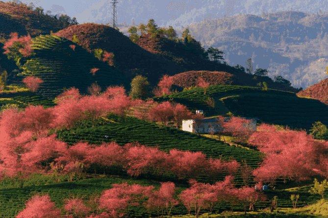 Индивидуальный тур: Сапа (2 дня) — изображение 10