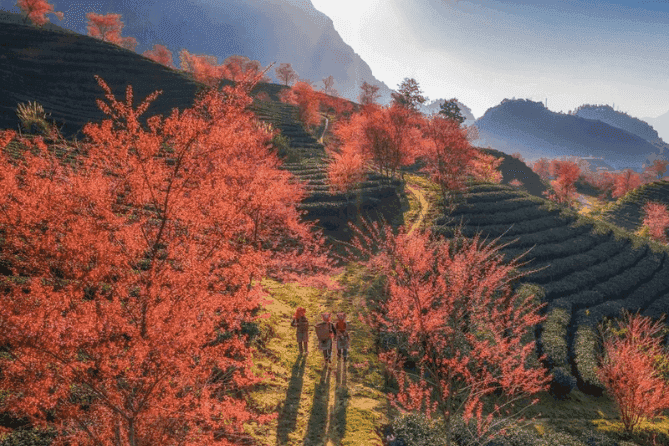 Индивидуальный тур: Сапа (2 дня) — изображение 11