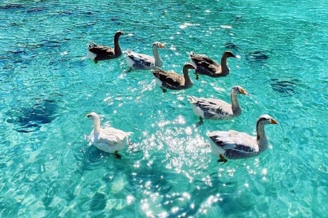 Голубые бухты Порто Дженевиз - Kép 7