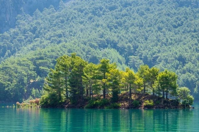 Зелёный каньон — изображение 4