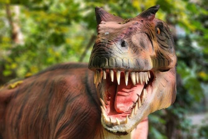 Парк развлечений Динопарк - Kép 7