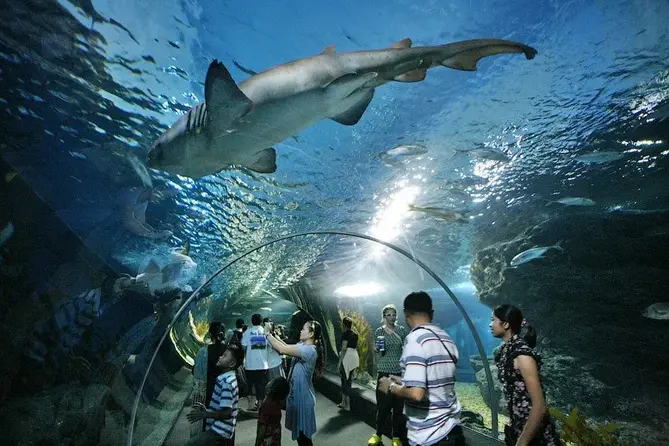 Бангкок Исторический с Океанариумом и шоу Siam Niramit — изображение 2