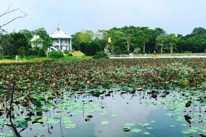 Магия Востока и Похороны Неудач — изображение 3