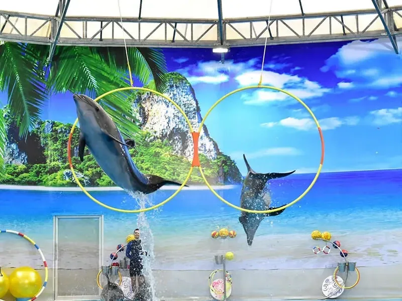 Билеты в Дельфинарий Немо — изображение 6