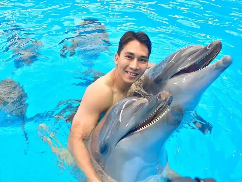 Билеты в Дельфинарий Немо — изображение 7