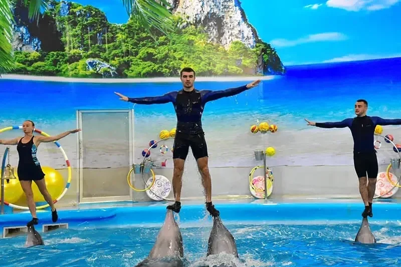 Билеты в Дельфинарий Немо