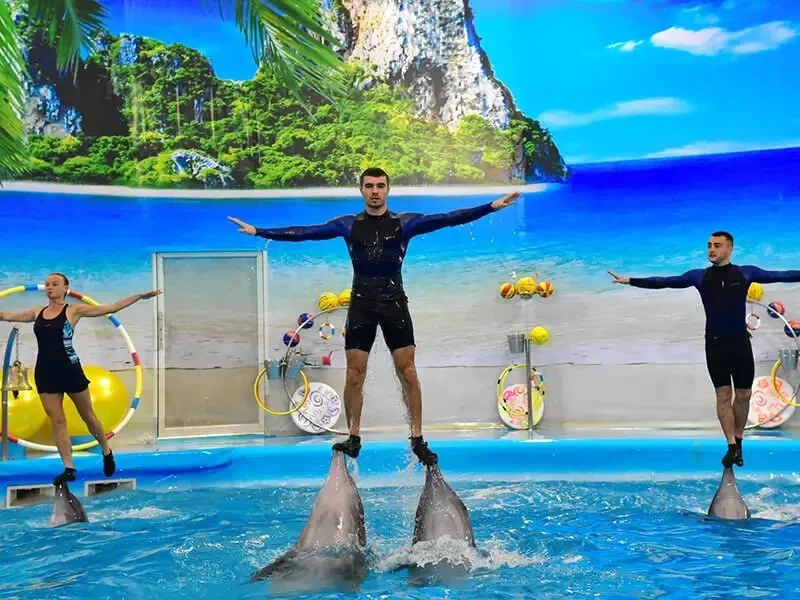 Билеты в Дельфинарий Немо