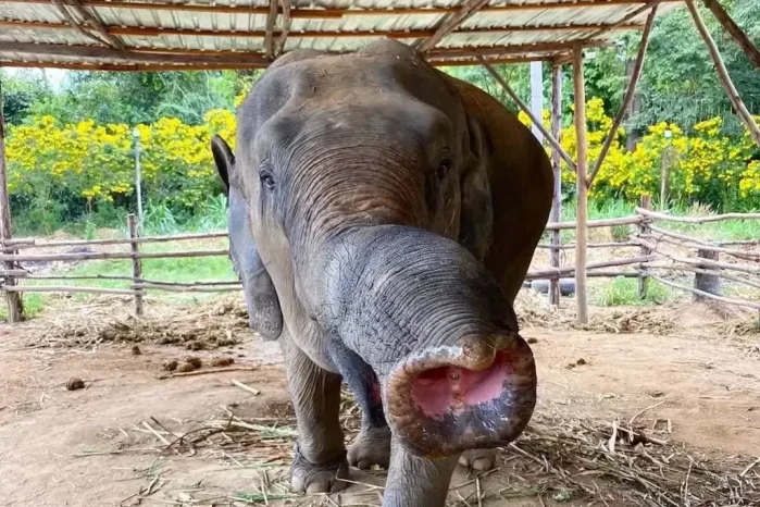 Обзорная экскурсия по Паттайе «Инстаграм Тур» — изображение 9