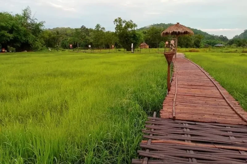 К Великой дамбе Короля