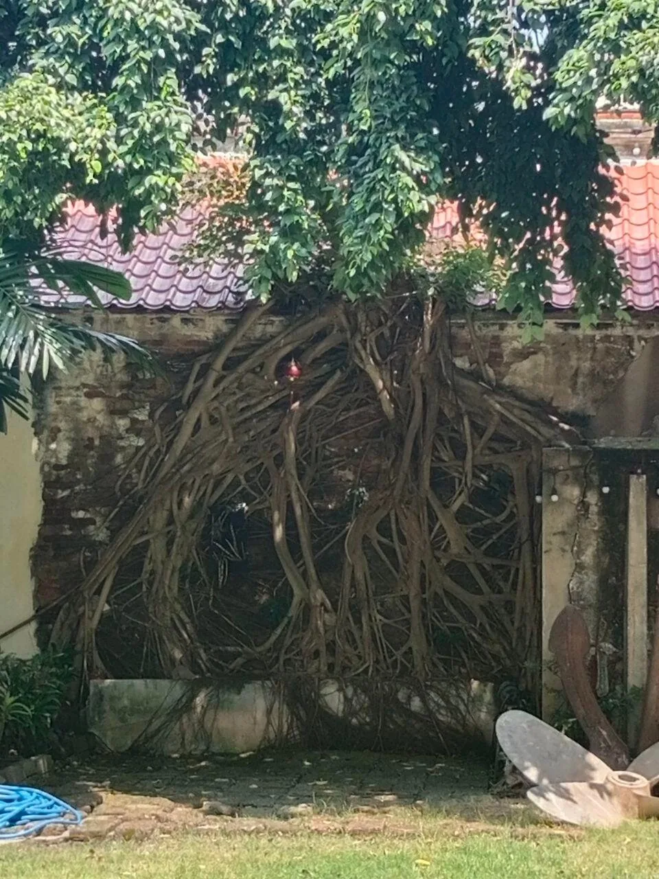 Семь секретов Бангкока — изображение 10