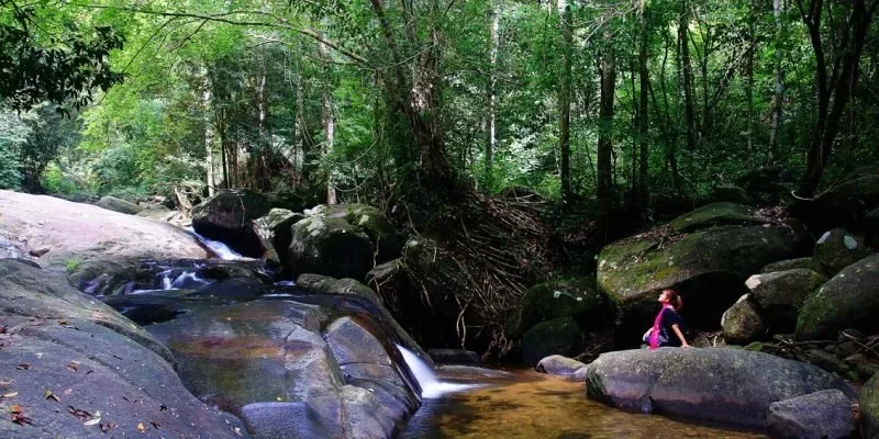 Затерянный Мир