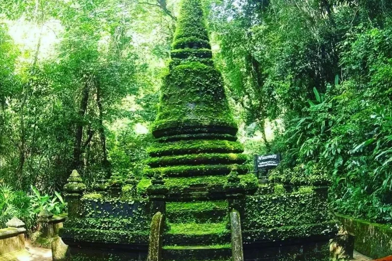 Сталкер (2 дня / 1 ночь)