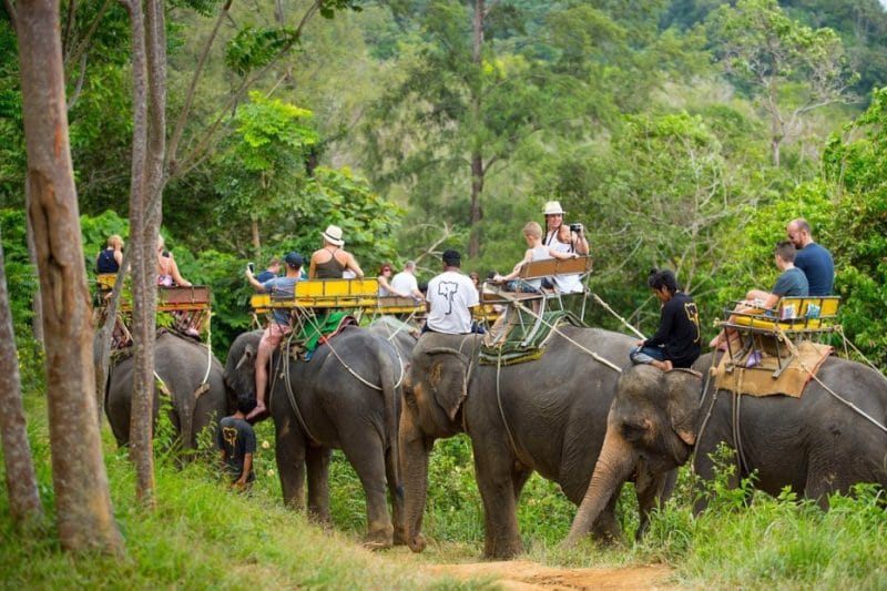 Катание на слонах на Пхукете