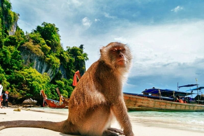 Острова Пхи-Пхи + остров Бамбу + остров Ранг Яй + Рыбалка (по желанию) за 1 день