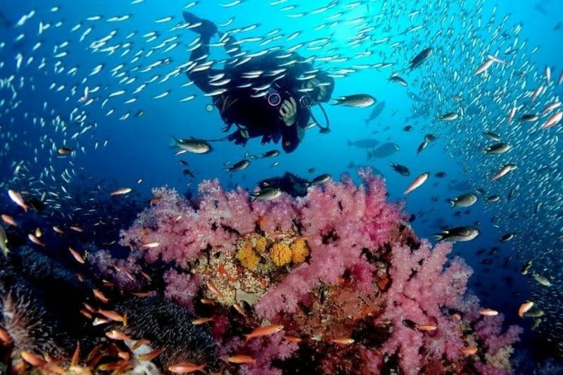 Дайвинг на островах Рача Яй