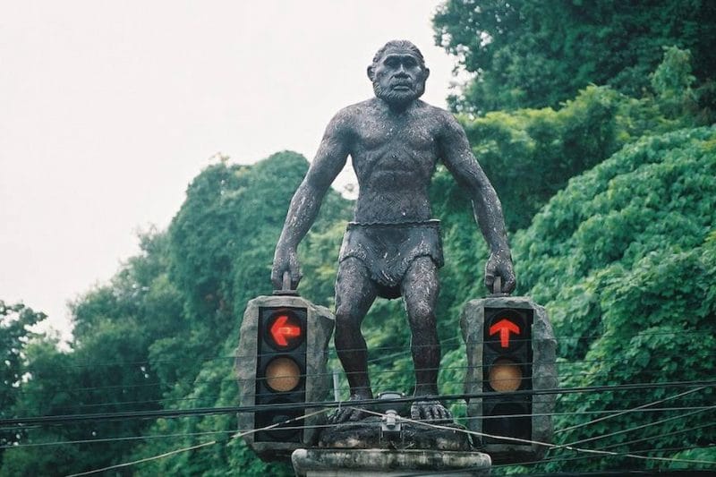 Материковый Краби 1 день