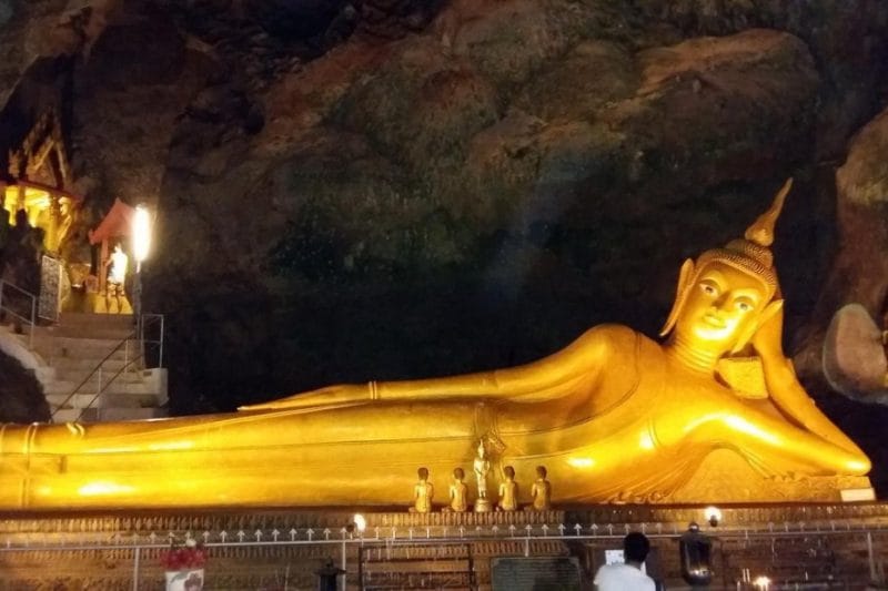 Рафтинг, тарзанка, катание на слонах и квадроциклы