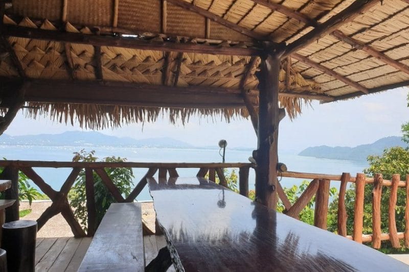 Полет Тарзана