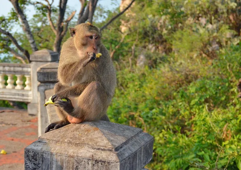 Дискавери Тур “8 в 1” - Kép 2