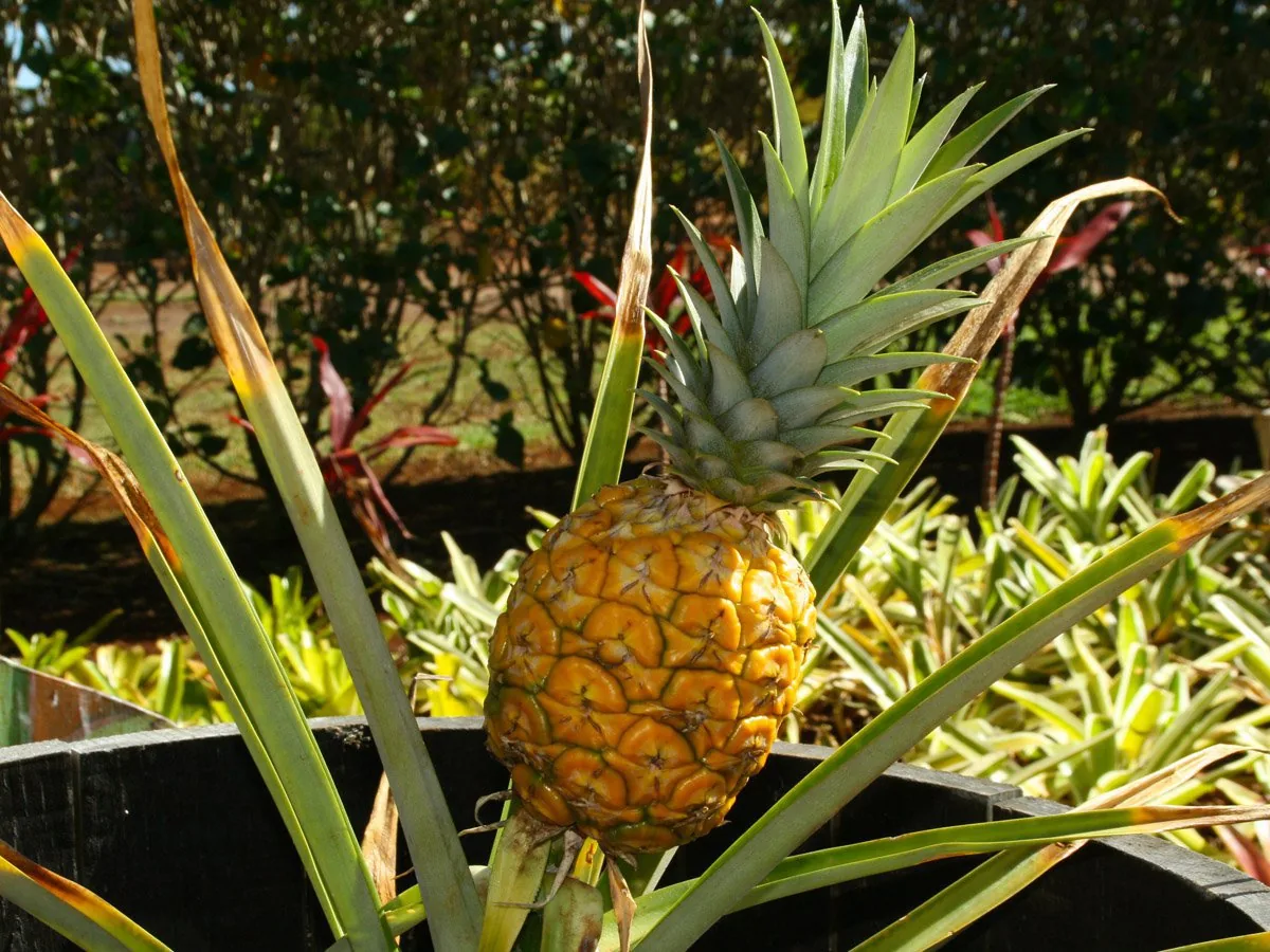 Дискавери Тур “8 в 1” - Kép 5