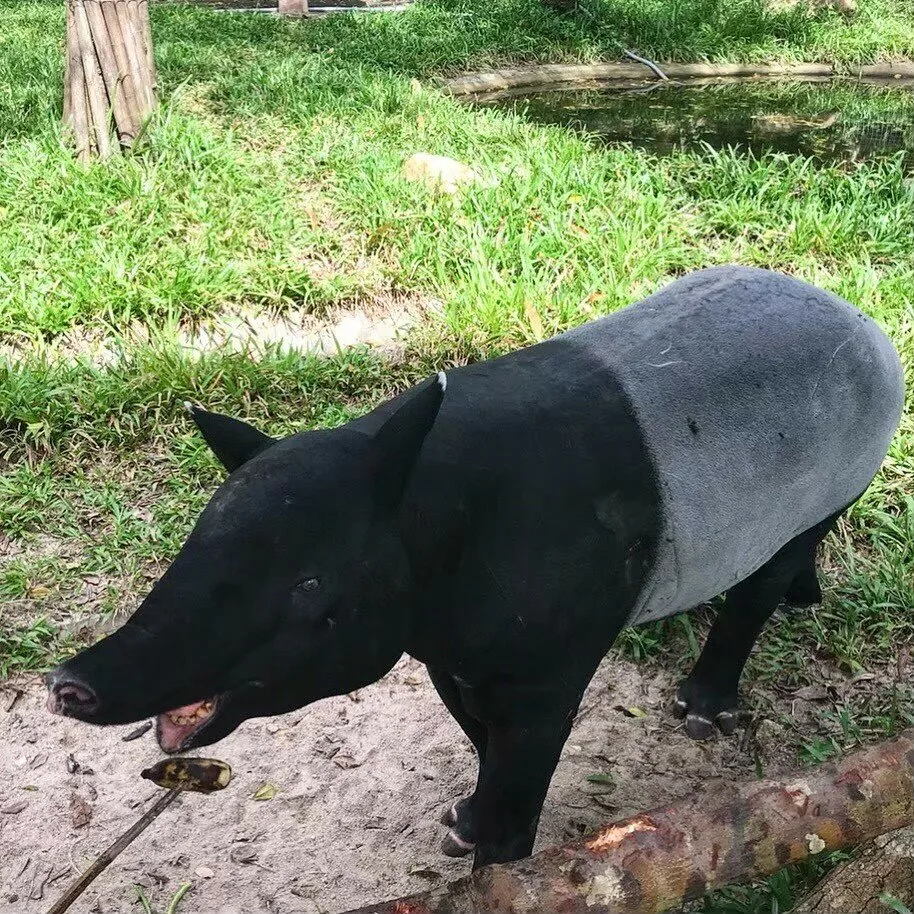 Дискавери Тур “8 в 1” - Kép 6