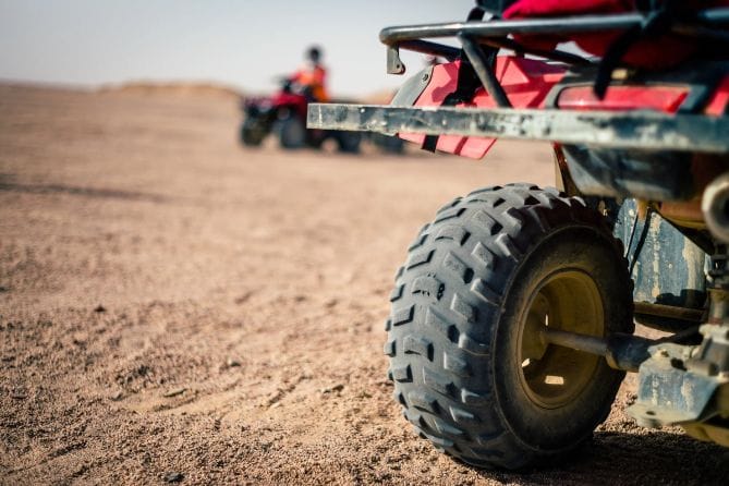 Сафари и Мини Египет — изображение 8