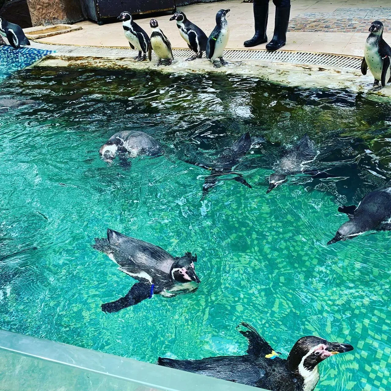 Дискавери Тур “8 в 1” - Kép 7