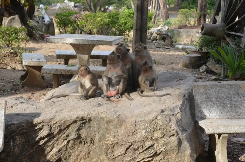 Ко Чанг — 2 дня / 1 ночь — изображение 5