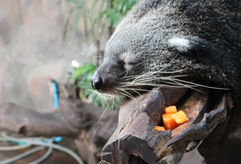 Дискавери Тур “8 в 1” - Kép 11