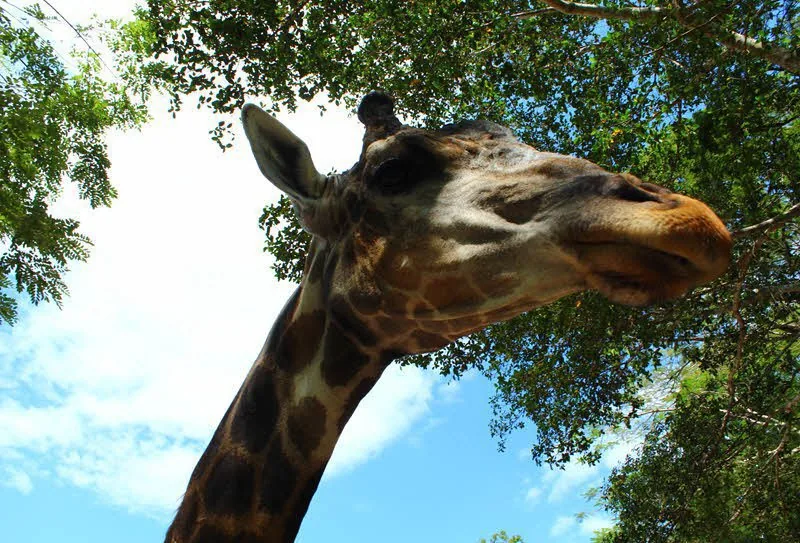 Дискавери Тур “8 в 1” - Kép 12