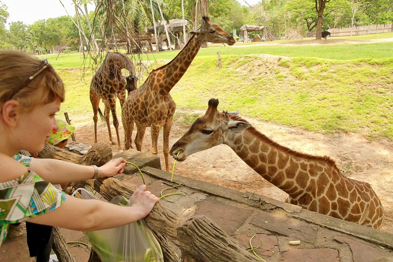 Дискавери Тур “8 в 1” - Kép 16