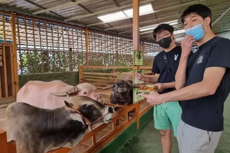 Happy Tour – Обзорная экскурсия