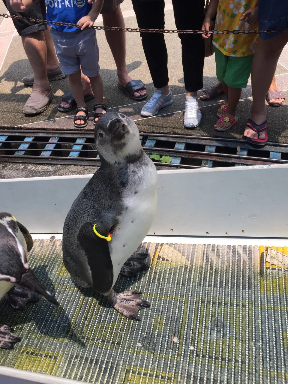 Дискавери Тур “8 в 1” - Kép 17