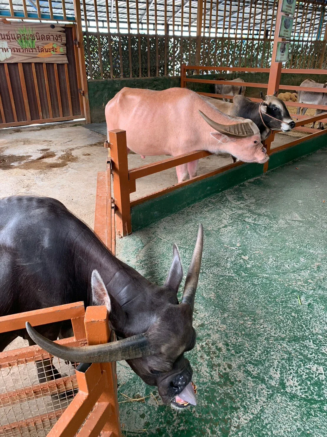 Детские приключения — изображение 4