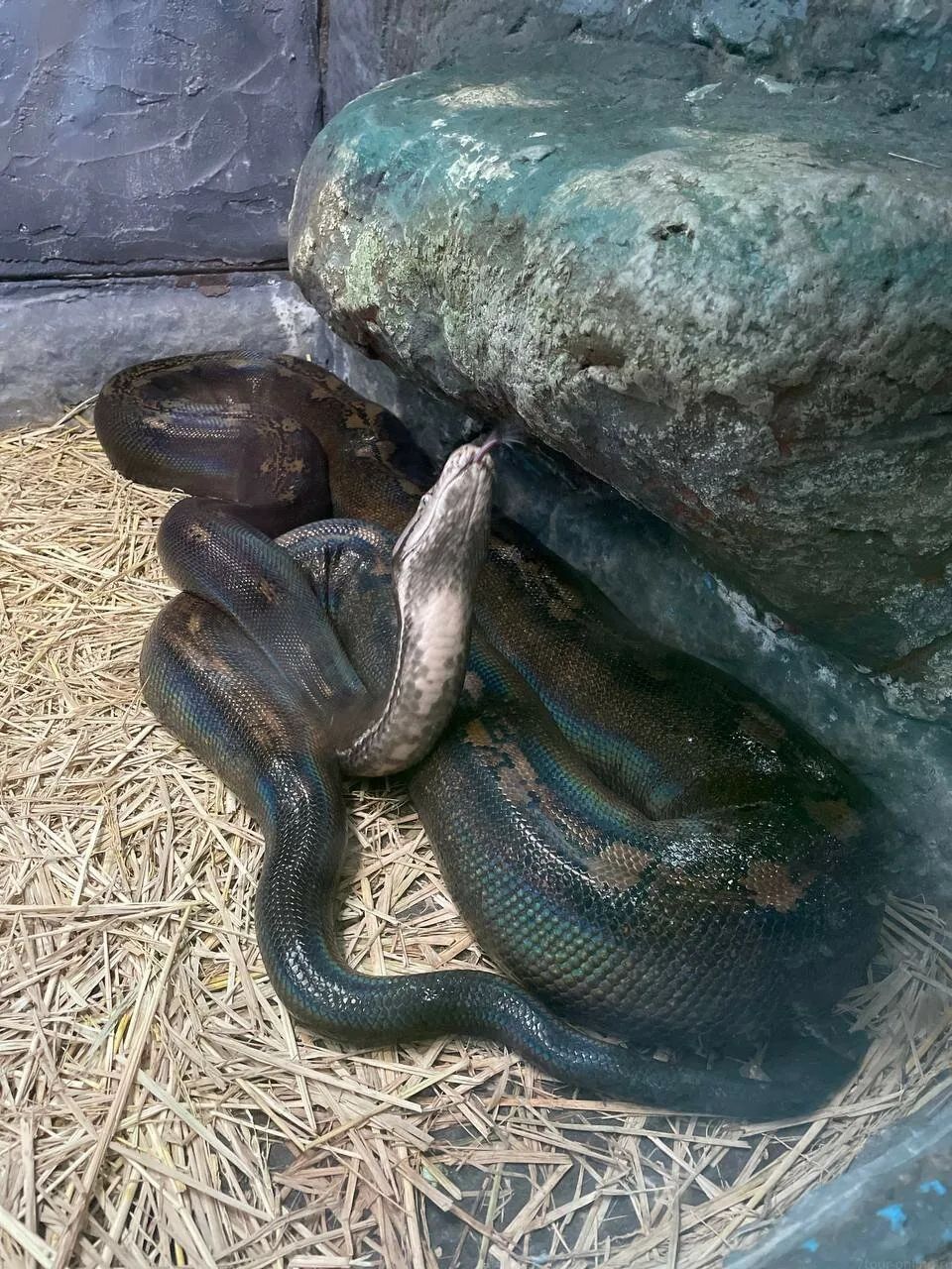 Детские приключения — изображение 15