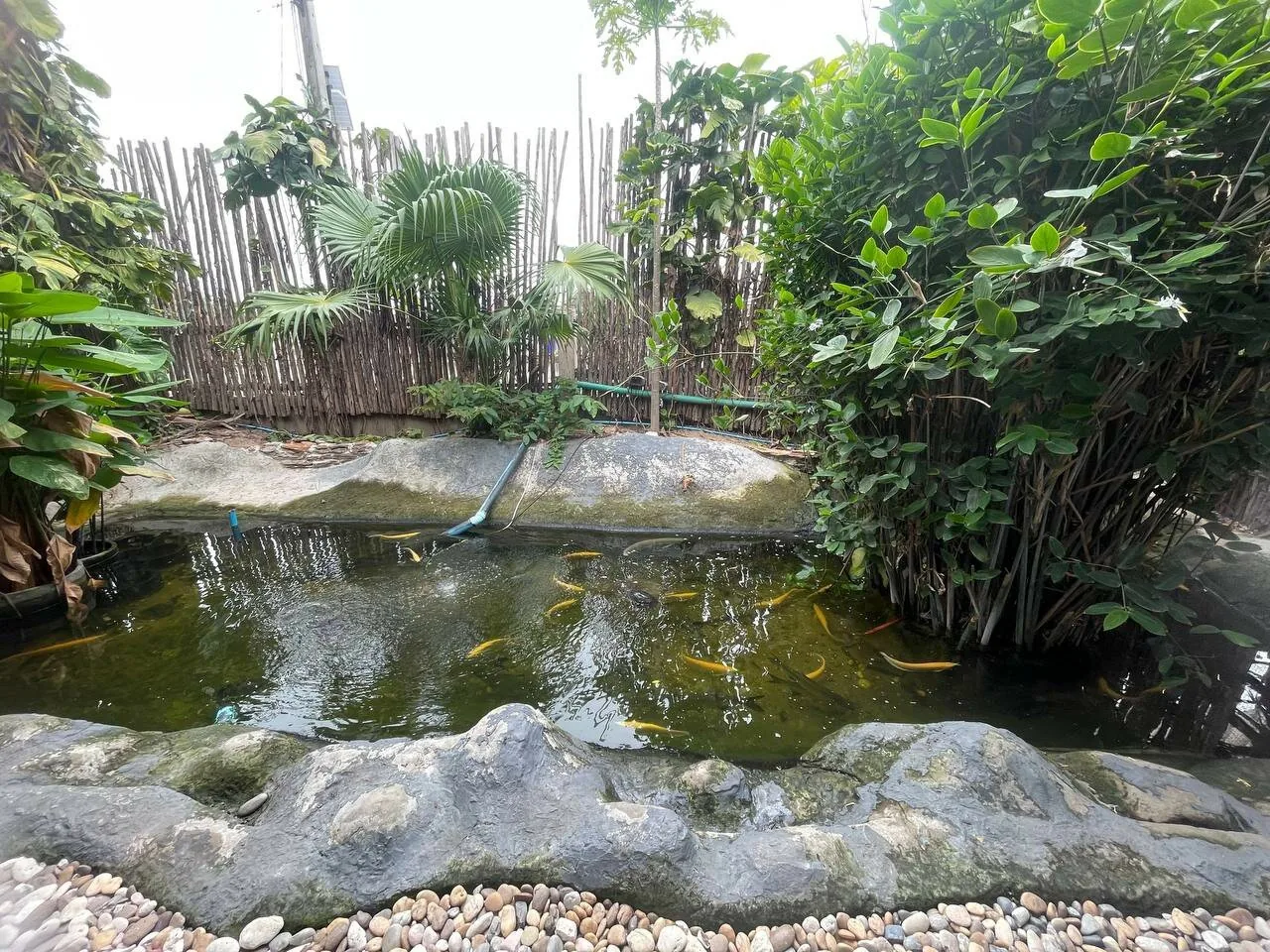 Детские приключения — изображение 16