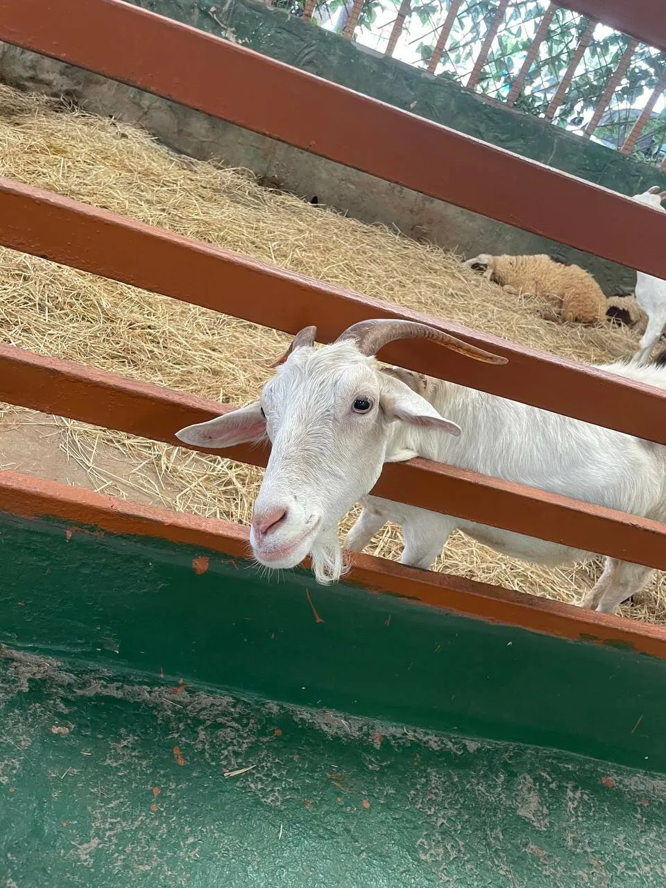 Детские приключения — изображение 18