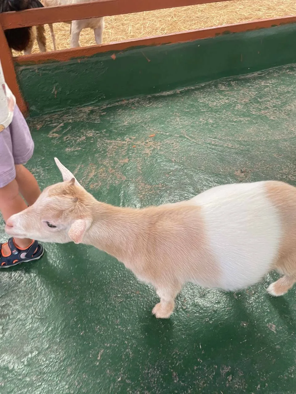 Детские приключения — изображение 19