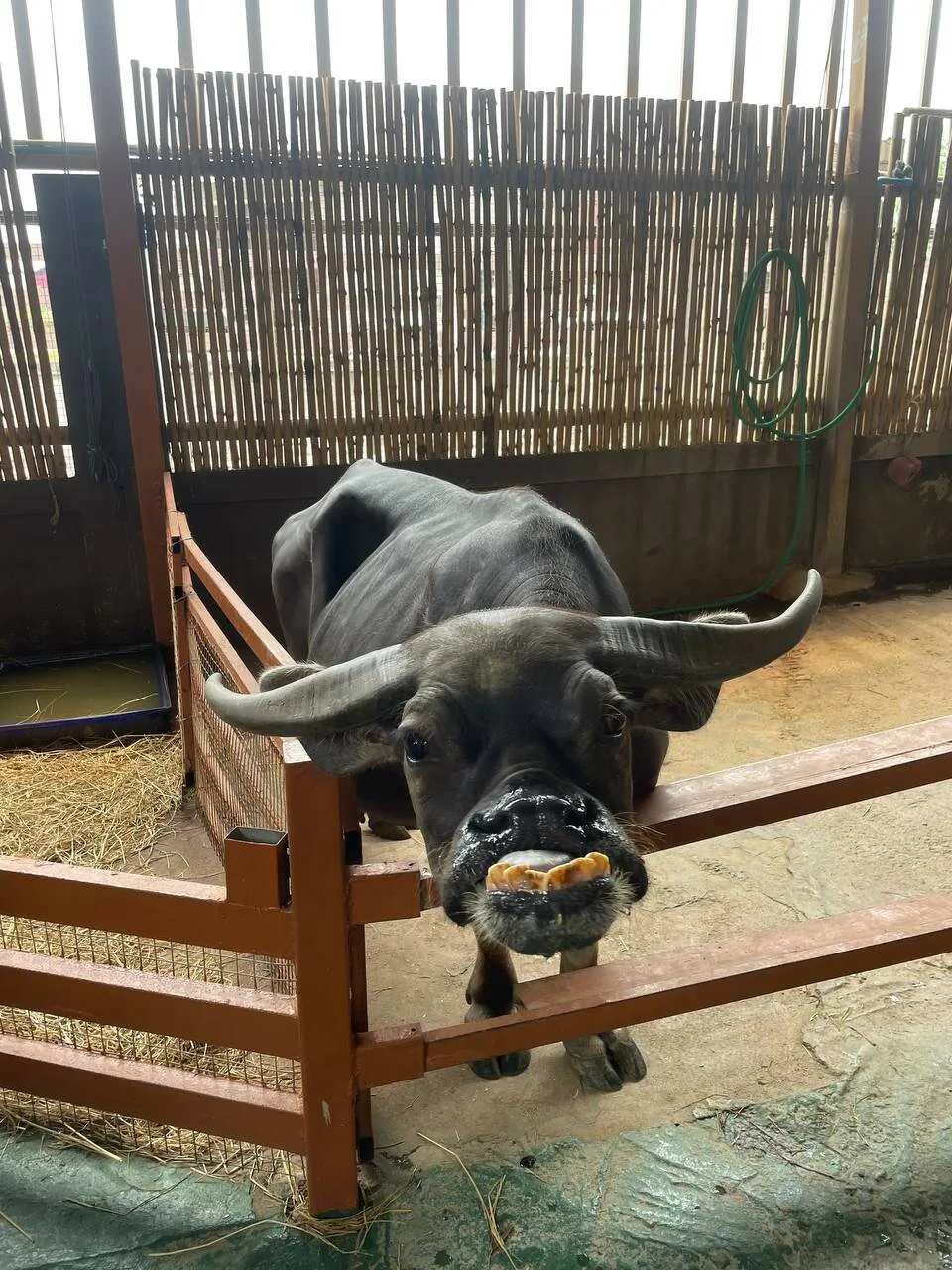 Детские приключения — изображение 20