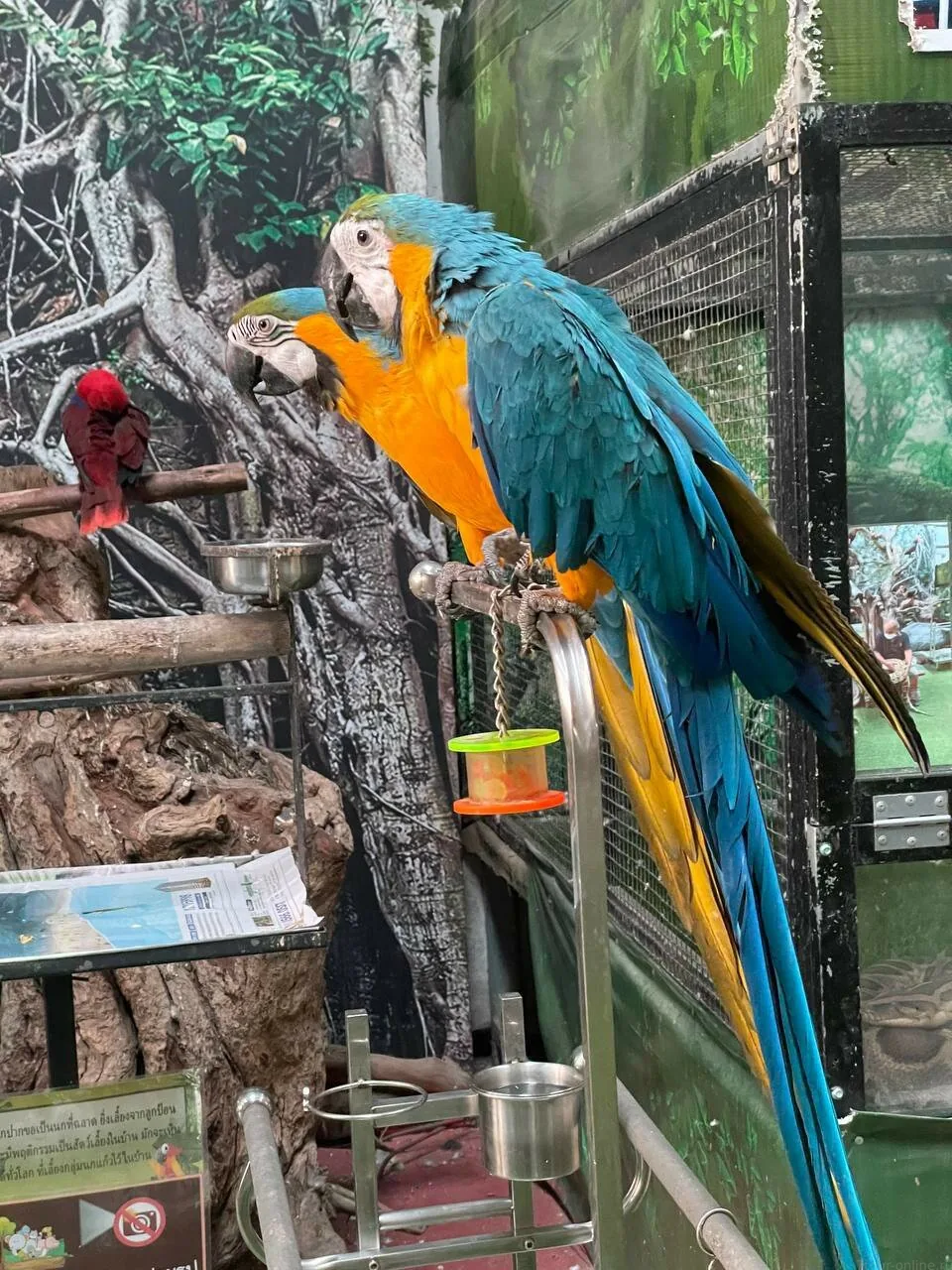 Детские приключения — изображение 22